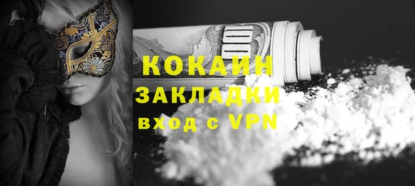 прущие грибы Магас