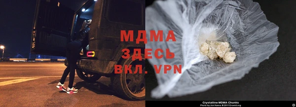 прущие грибы Магас
