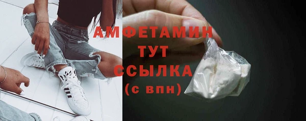 прущие грибы Магас