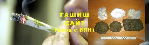 прущие грибы Магас