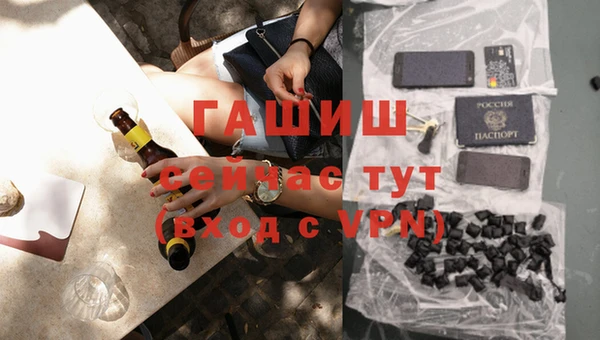 прущие грибы Магас