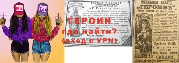 прущие грибы Магас