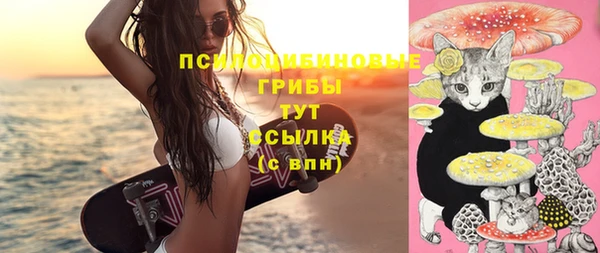 прущие грибы Магас