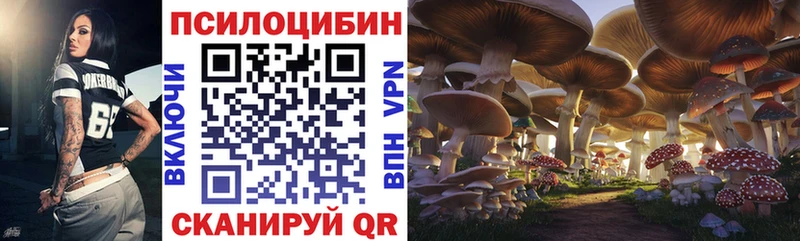 что такое наркотик  МЕГА вход  Псилоцибиновые грибы Magic Shrooms  Струнино 